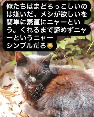 専念寺(大阪府)