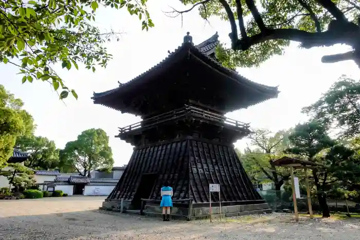 大樹寺（松安院大樹寺）の建物その他