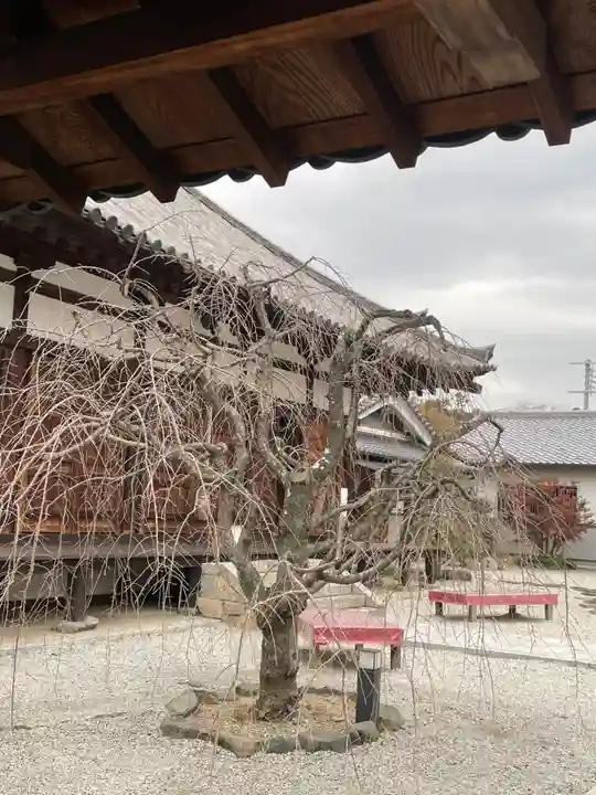 額安寺(奈良県)