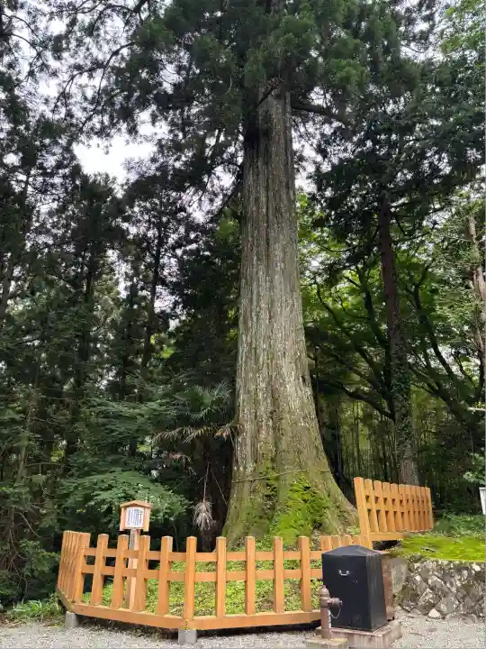 須山浅間神社(静岡県)