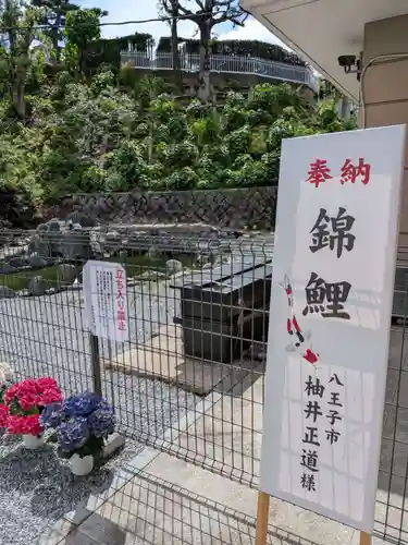 白金氷川神社(東京都)