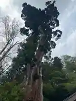 勝山八幡神社(山梨県)