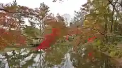 半木神社の庭園