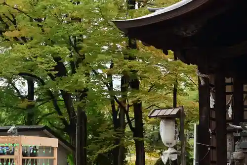 金峯神社(新潟県)