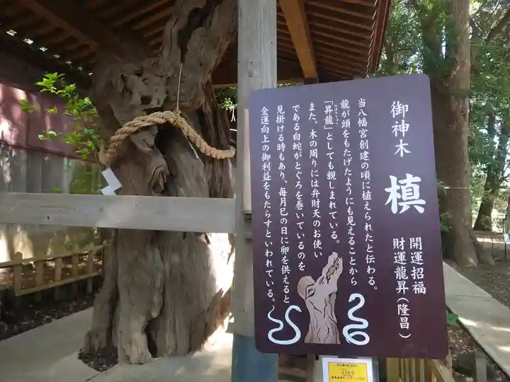 鶴嶺八幡宮(神奈川県)