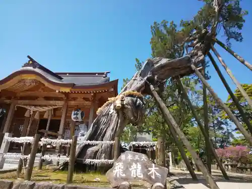 新北神社の自然