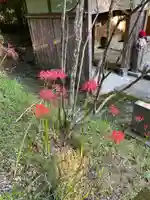 清水寺(千葉県)