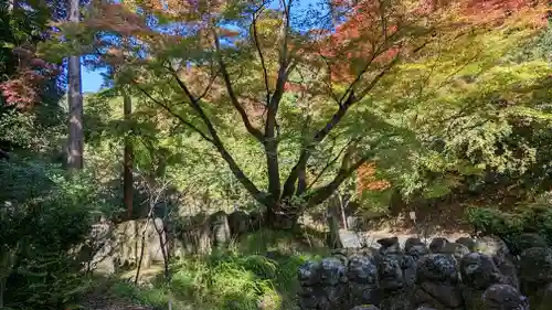 愛宕念仏寺(京都府)