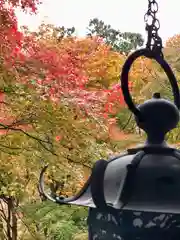 談山神社の自然