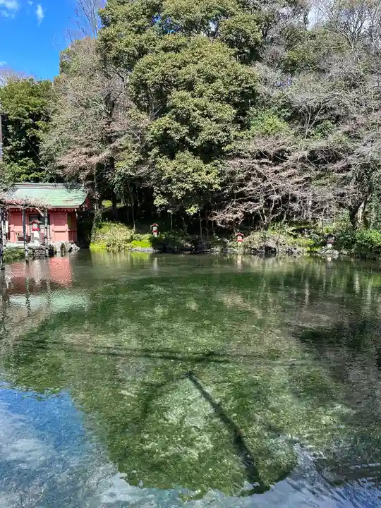 富士山本宮浅間大社(静岡県)