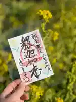 勝覚寺の御朱印