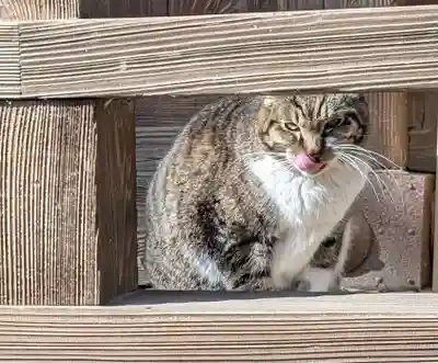 阿邪訶根神社(福島県)