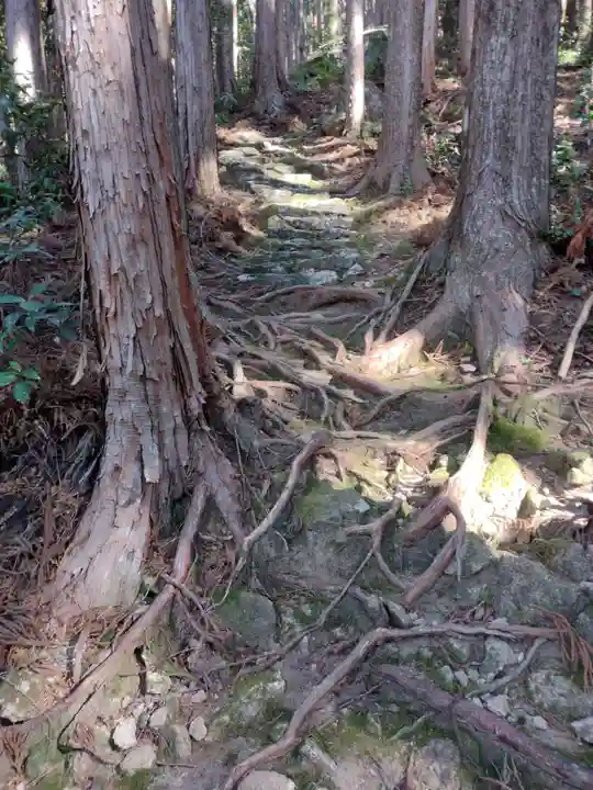 平尾井薬師(三重県)