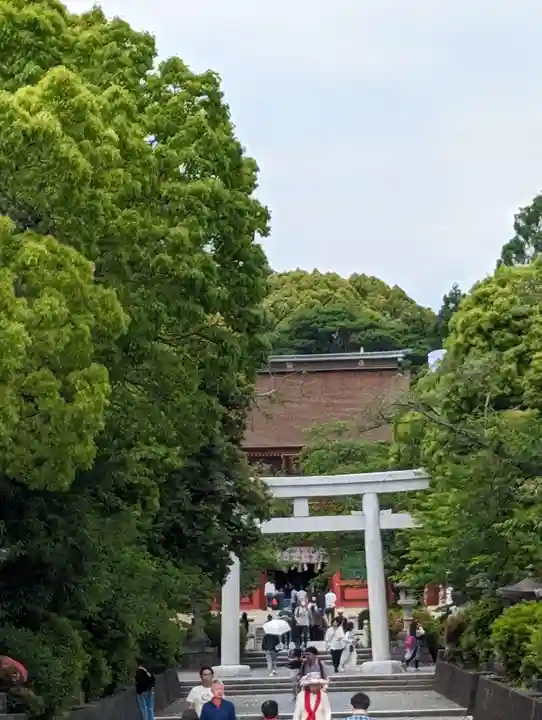 富士山本宮浅間大社(静岡県)