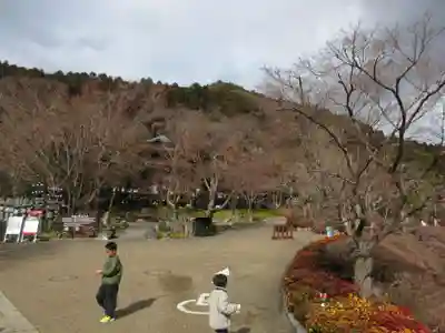 勝尾寺(大阪府)