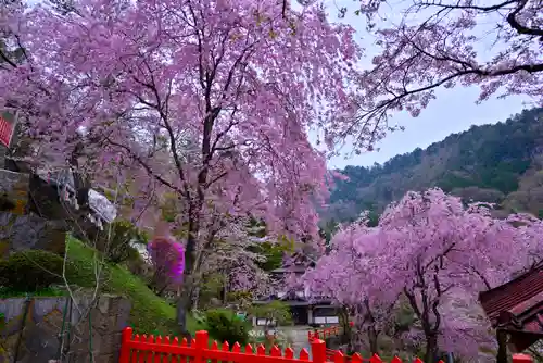 金櫻神社(山梨県)