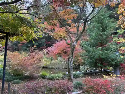 本土寺(千葉県)