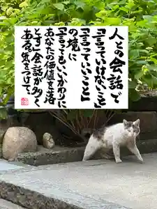 専念寺(大阪府)(2023年05月10日(水) 21時35分31秒投稿)