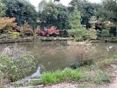 法金剛院(京都府)