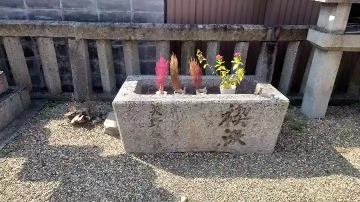 市神社(愛知県)