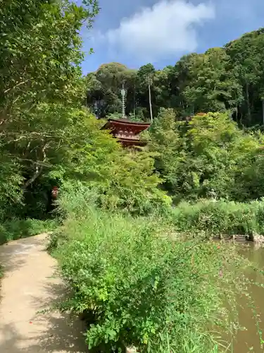 浄瑠璃寺の庭園