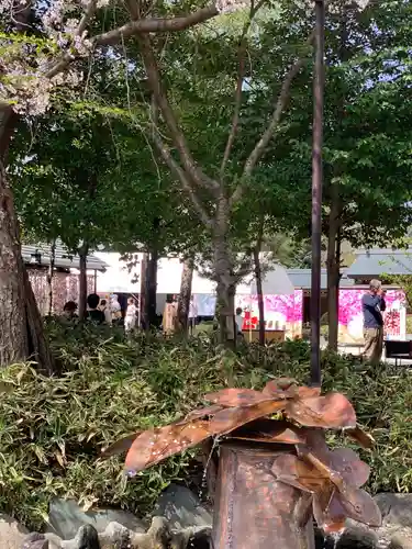 櫻木神社の手水舎