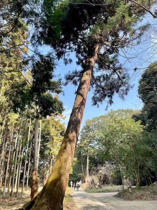 櫻井神社(福岡県)