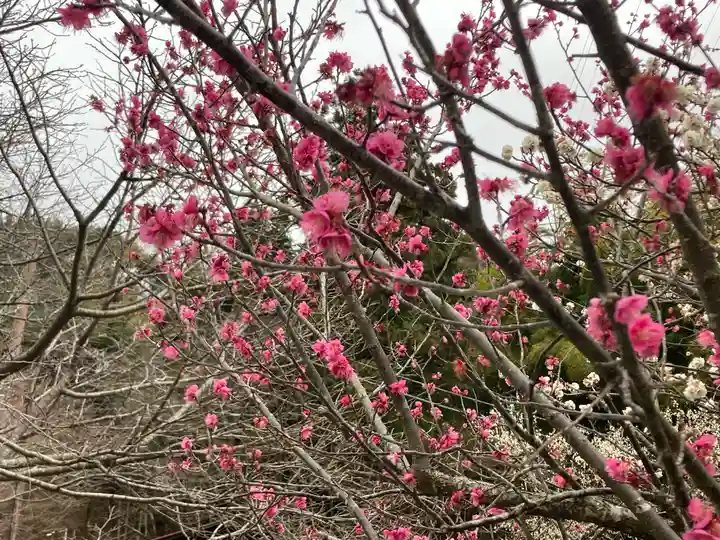 龍寳寺(龍宝寺)(神奈川県)
