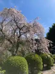 即清寺の自然