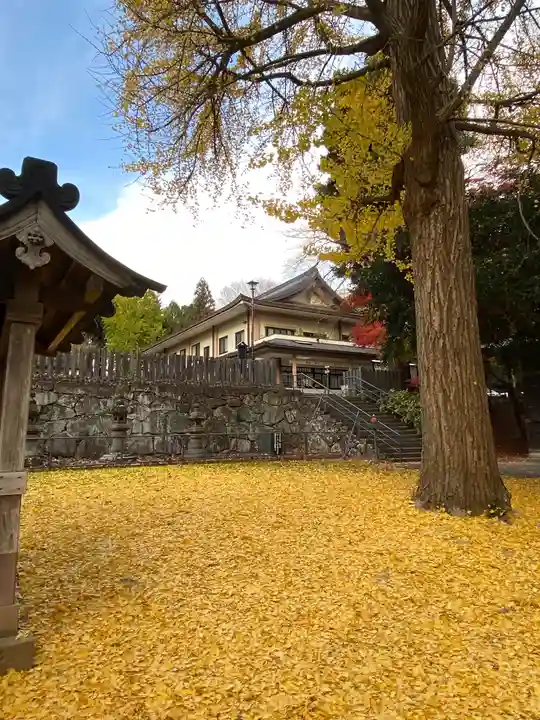 仙台東照宮の自然