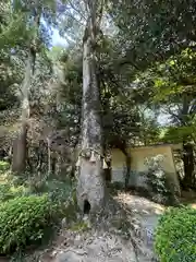 耳常神社(三重県)