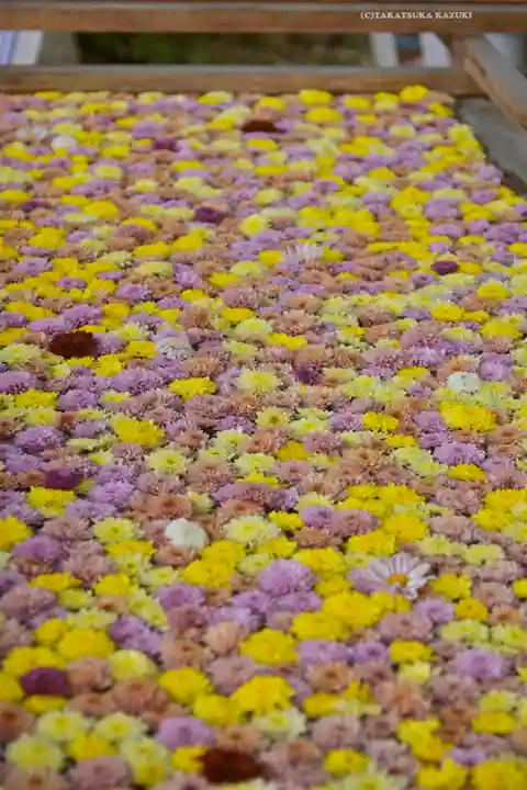 笠間稲荷神社(茨城県)