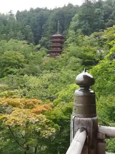 長谷寺(奈良県)