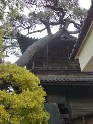 泉岳寺(東京都)