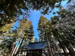 山家神社の自然