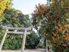 氷上八幡神社の鳥居