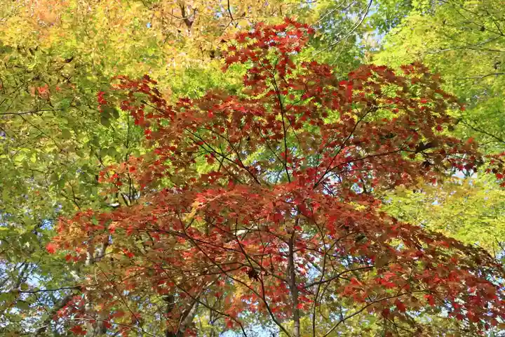 隠津島神社の庭園