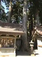 玉置神社(奈良県)