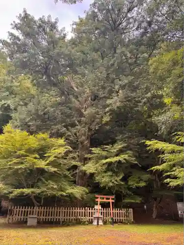 金剛院(京都府)