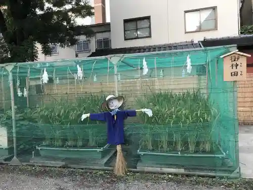 浅草神社のその他建物