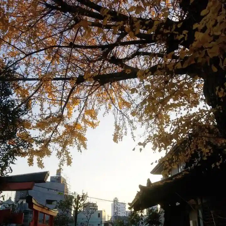 稼穡稲荷社の自然