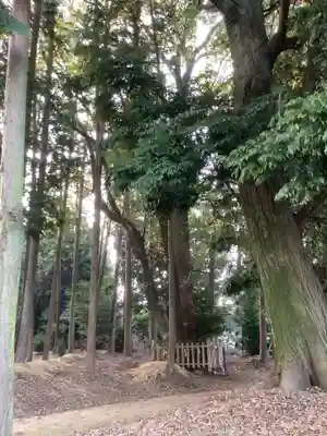 熊野社(塔野地)のその他建物