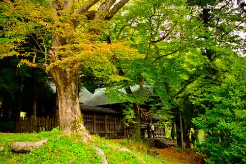 諏訪大社上社前宮(長野県)