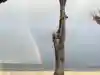 ぜっと♪さんのプロフィール画像