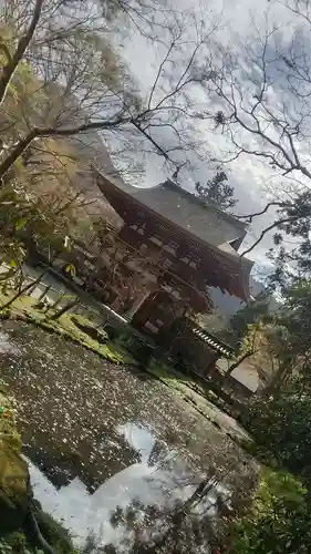 室生寺の山門