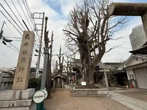 飛木稲荷神社の{uncategorized: "未分類", other: "その他", undefined: "問題あり", building: "その他建物", grave: "お墓", sacred_gate: "鳥居", guardian: "狛犬", statue: "像", buddha: "仏像", history: "歴史", nature: "自然", garden: "庭園", animal: "動物", pagoda: "塔", temizu: "手水舎", mountain_gate: "山門・神門", sanctuary: "本殿・本堂", subordinate: "末社・摂社", art: "芸術", scenery: "景色", jizo: "地蔵", ema: "絵馬", goshuin: "御朱印", omikuji: "おみくじ", items: "授与品その他", amulet: "お守り", goshuincho: "御朱印帳", eats: "食事", festival: "お祭り", votive_dance: "神楽", shichigosan: "七五三参", wedding: "結婚式", experience: "体験その他", initially: "初詣", around: "周辺", anti_infection: "感染症対策"}