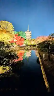 東寺（教王護国寺）(京都府)