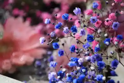 豊景神社の手水舎