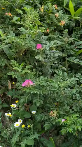 穂香金刀比羅神社(北海道)