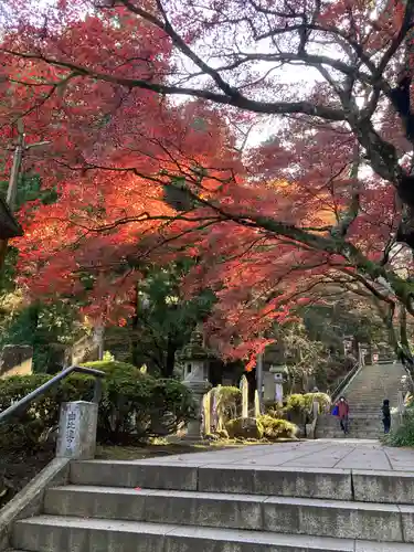 最乗寺（道了尊）(神奈川県)